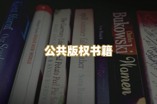 公共版权书籍